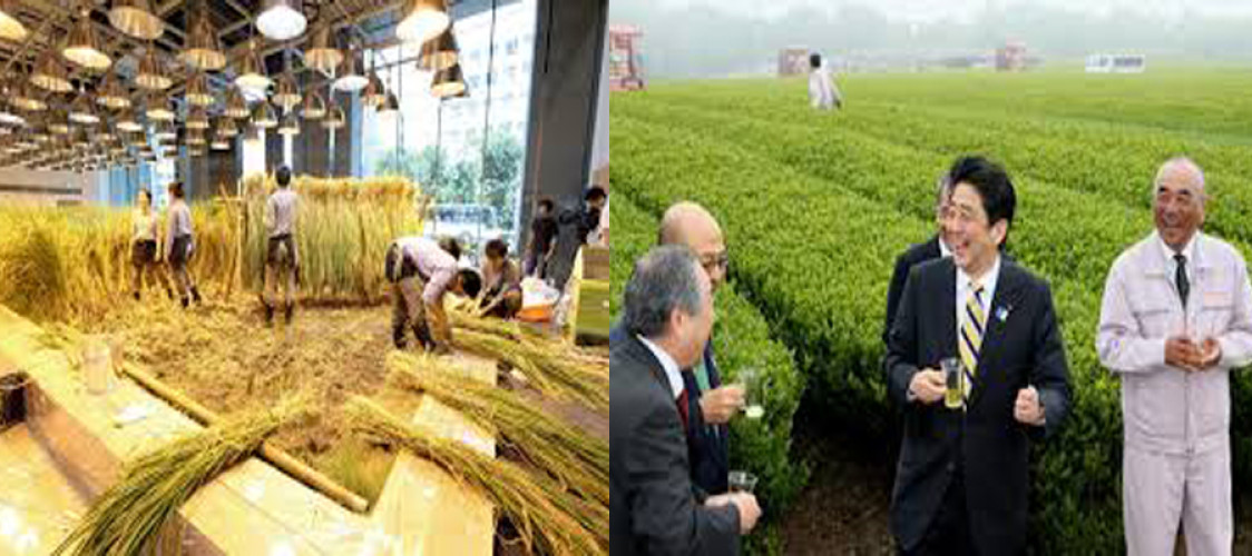 An Exclusive Report on Agriculture in the Empire of Japan