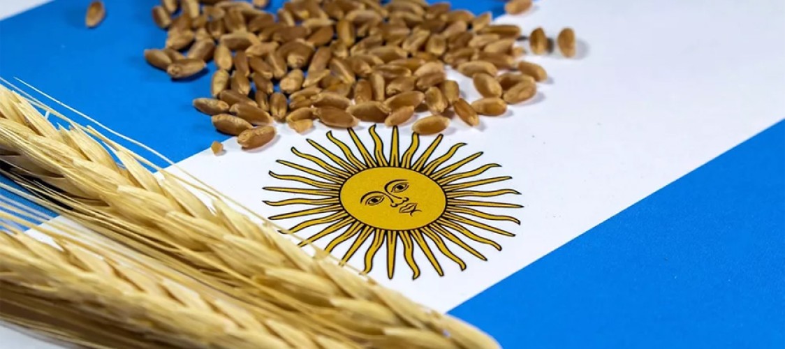 For the first time, the largest wheat import comes from the football nation of Argentina